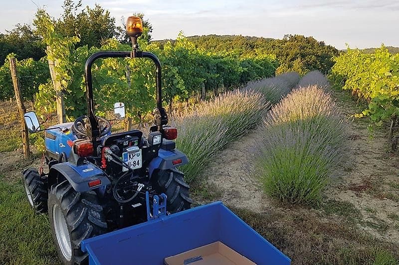 Solis 26 Frontlader / Ackerstollenbereifung / STVO / Allrad