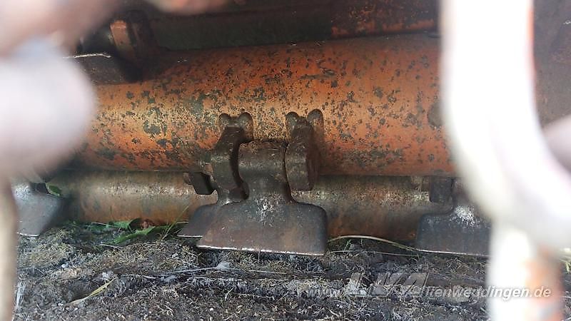 Berti TRINCIARGINI WING 250