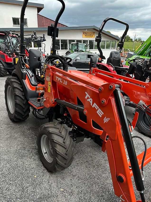 TAFE 6028 H mit Frontlader TFL 28
