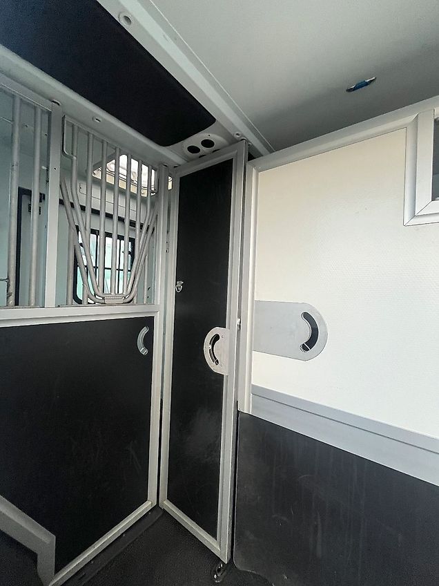 Renault Master Theault Proteo Pferdetransporter 5 Sitz