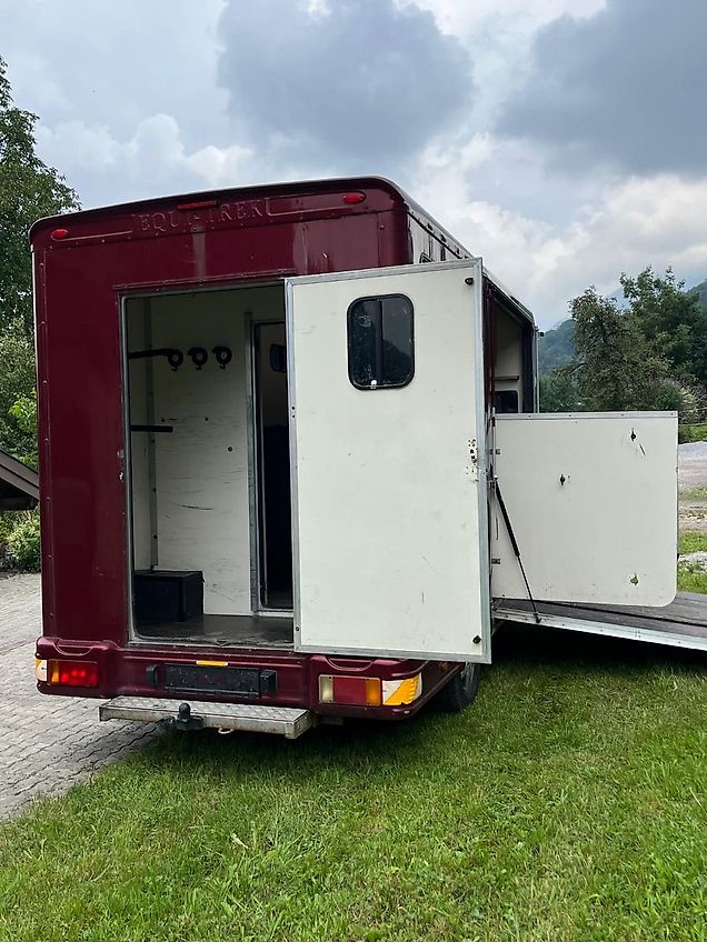 Peugeot Pferdetransporter