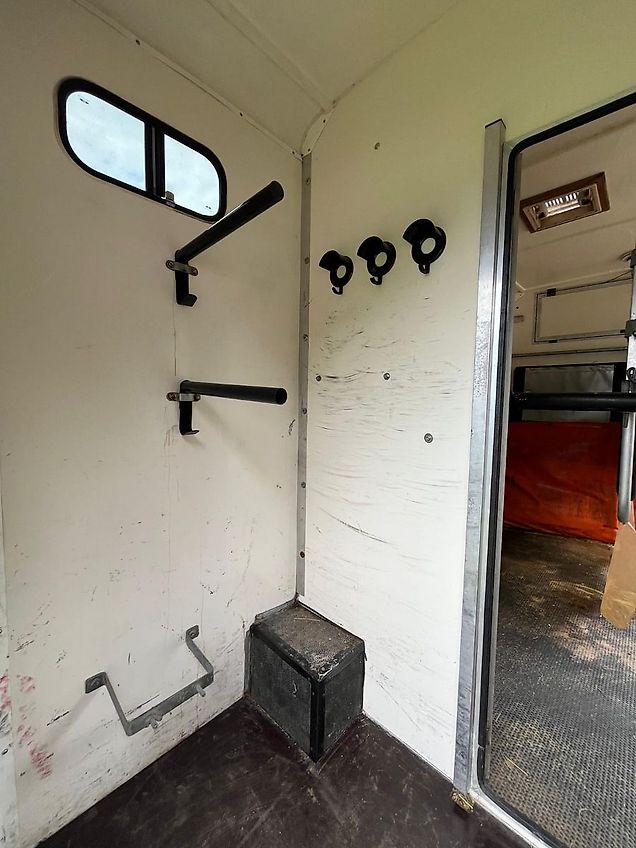 Peugeot Pferdetransporter