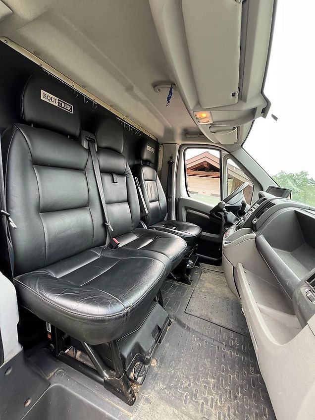 Peugeot Pferdetransporter