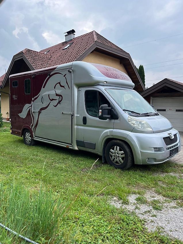 Peugeot Pferdetransporter