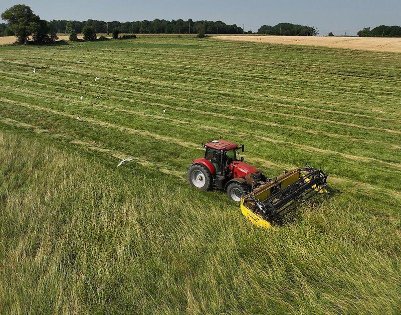 Honey Bee ST 21 - BANDSCHWADMÄHWERK